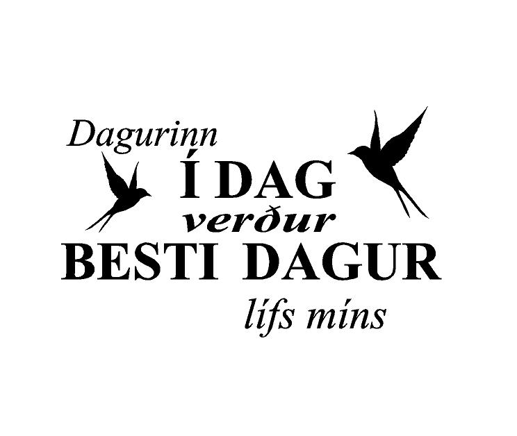  Dagurinn í dag