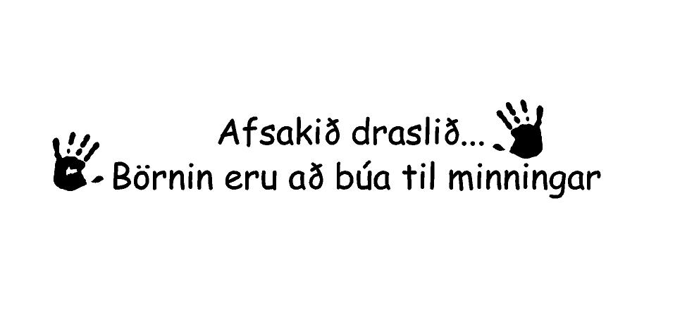 Afsakið draslið