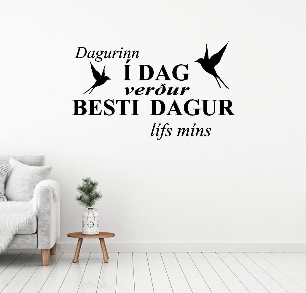  Dagurinn í dag